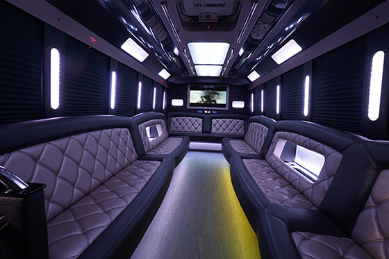 modern party bus fleet